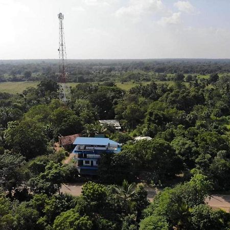 Wilpattu Dolosmahe Ngoại thất bức ảnh