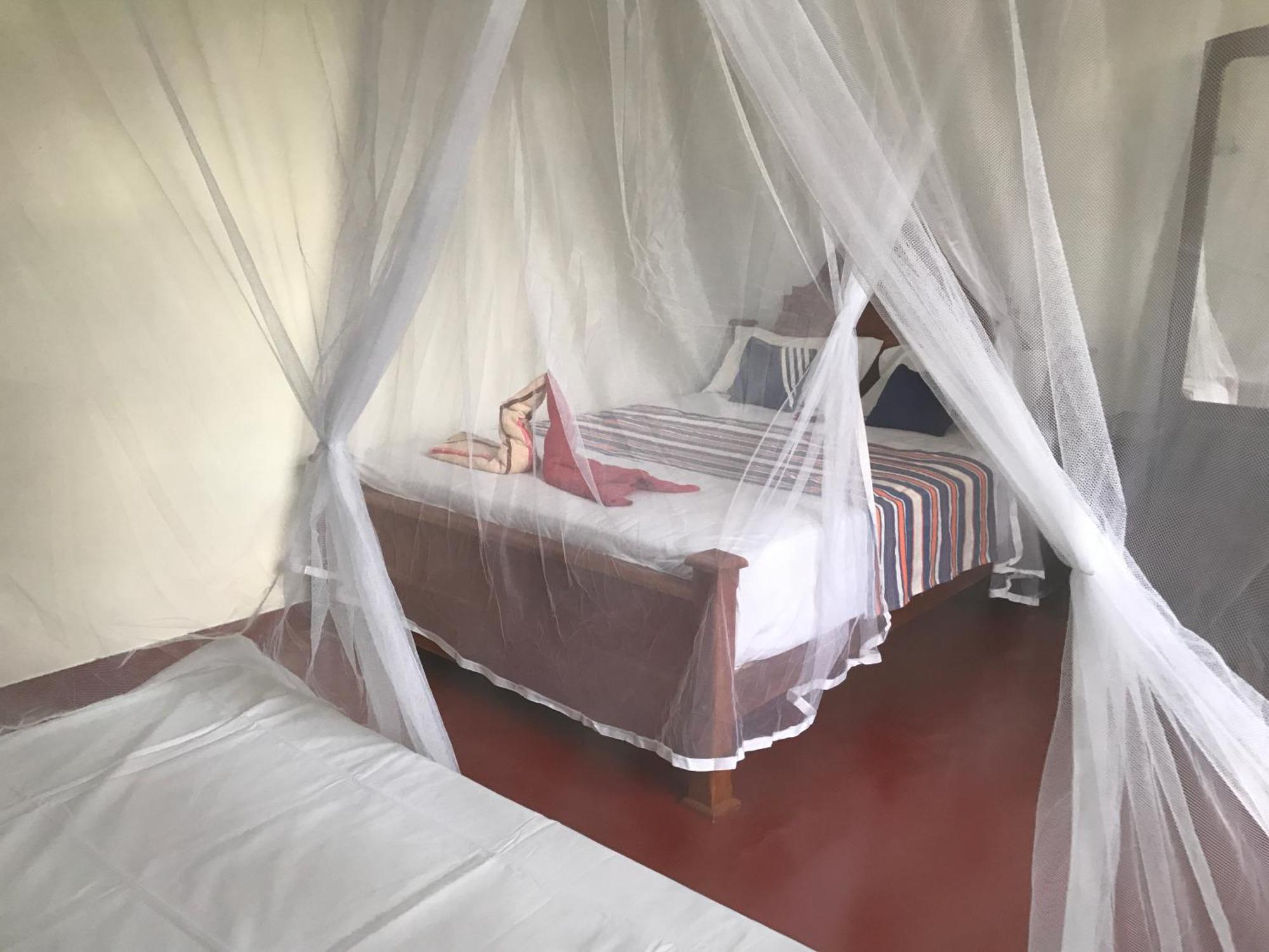 Wilpattu Dolosmahe Ngoại thất bức ảnh