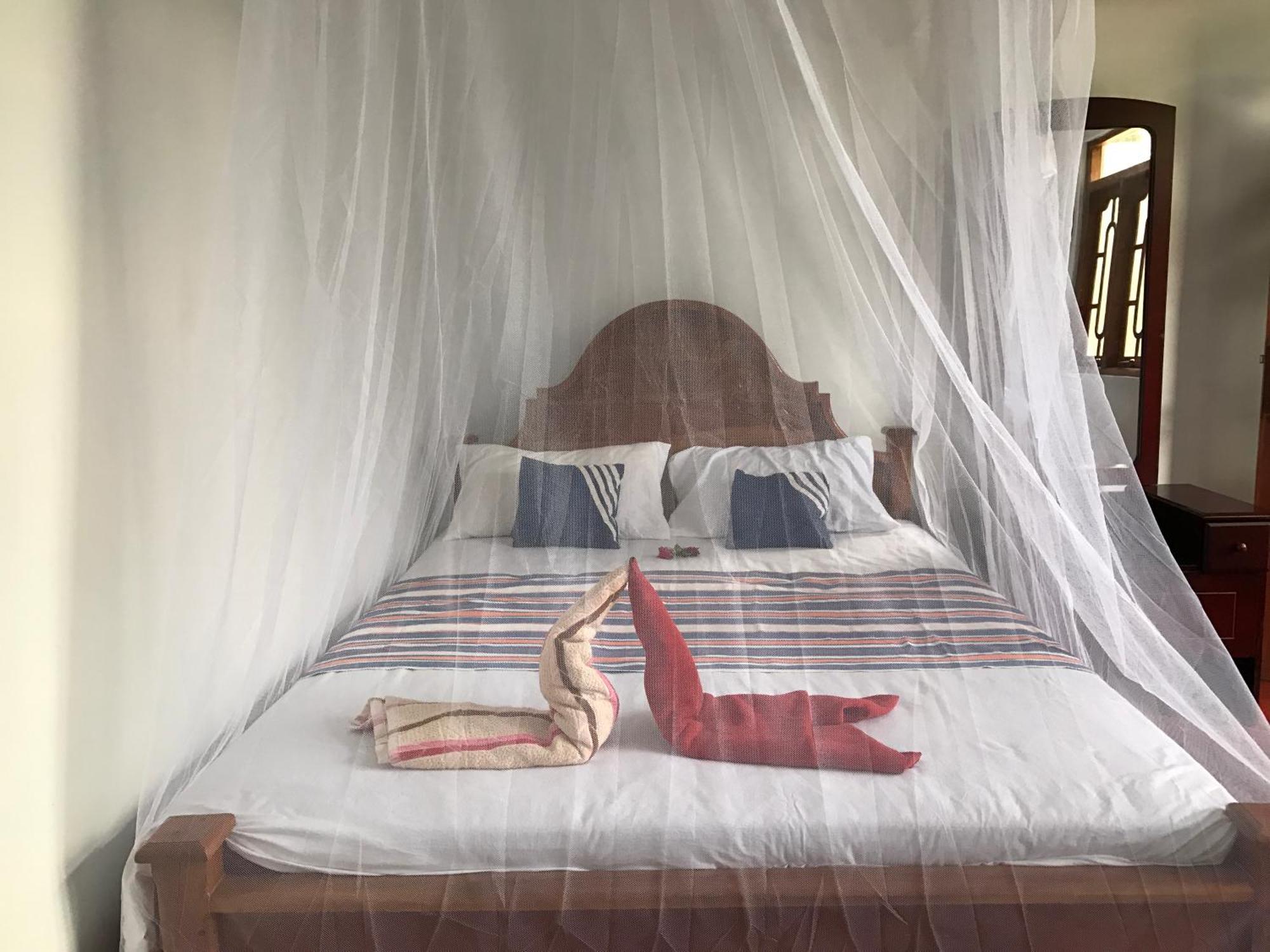 Wilpattu Dolosmahe Ngoại thất bức ảnh
