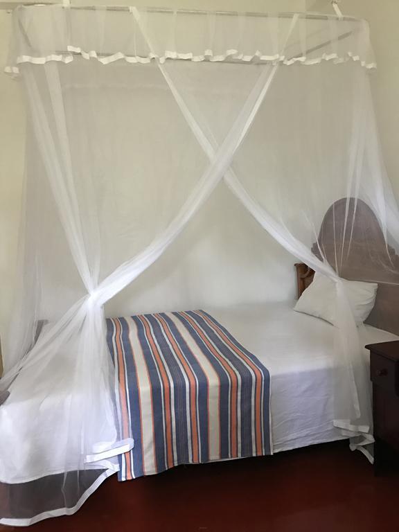 Wilpattu Dolosmahe Ngoại thất bức ảnh
